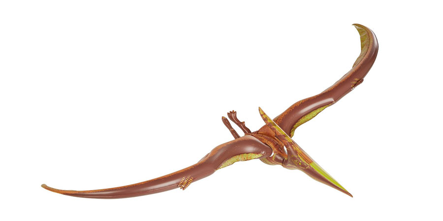 Inflatable Pteranodon-Pteradactyl
